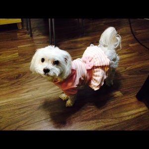 Meet your Posher, Leona